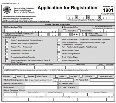 bir tin online application philippines.